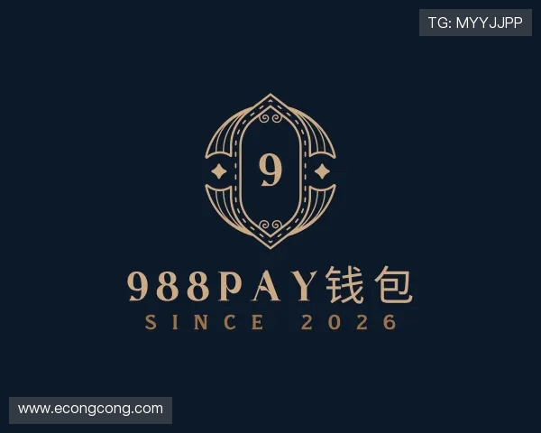 认识988PAY钱包